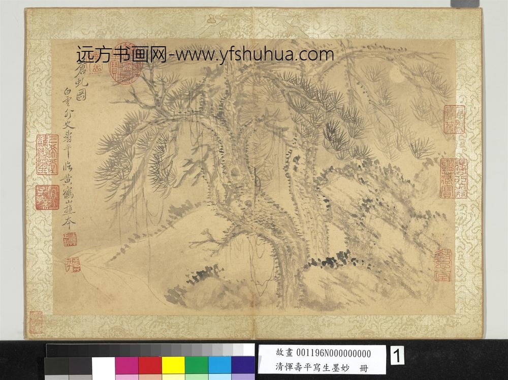清恽寿平写生墨妙册苍虬图