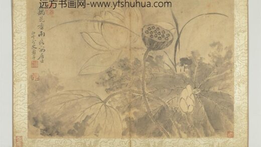 清恽寿平写生墨妙册荷花.jpg