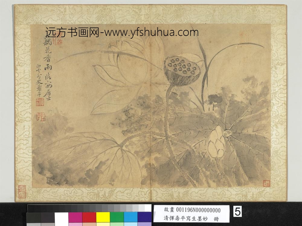 清恽寿平写生墨妙册荷花