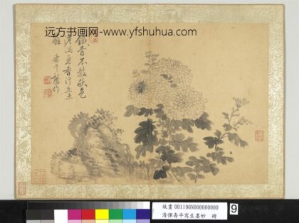 清恽寿平写生墨妙册菊花.jpg