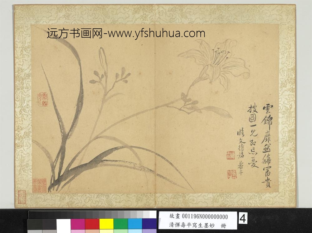 清恽寿平写生墨妙册萱花