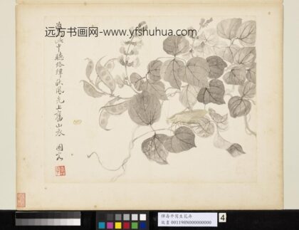清恽寿平写生花卉册促织夹荳.jpg