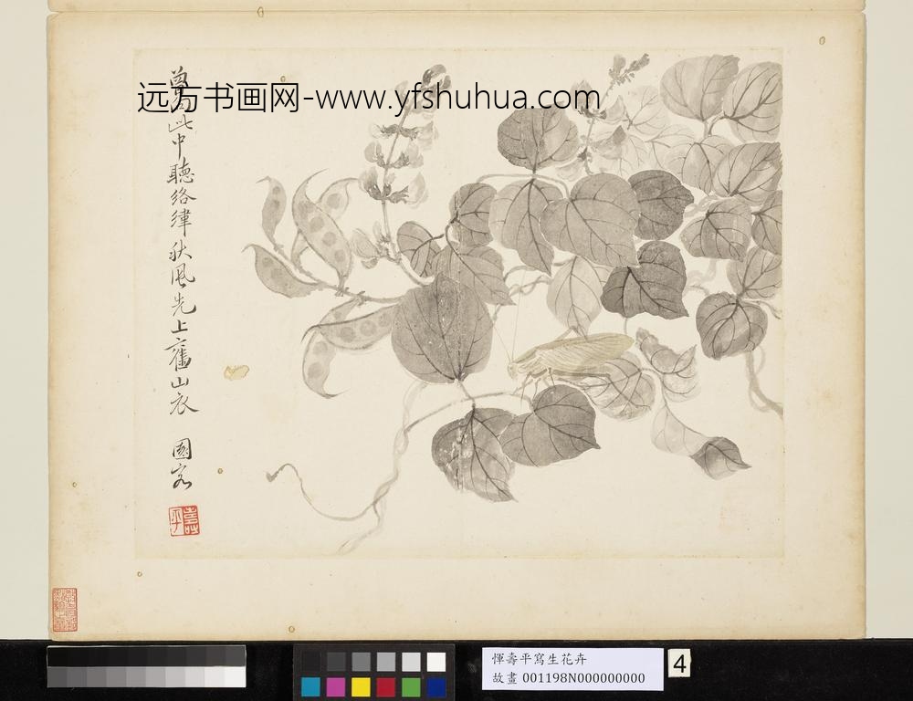 清恽寿平写生花卉册促织夹荳