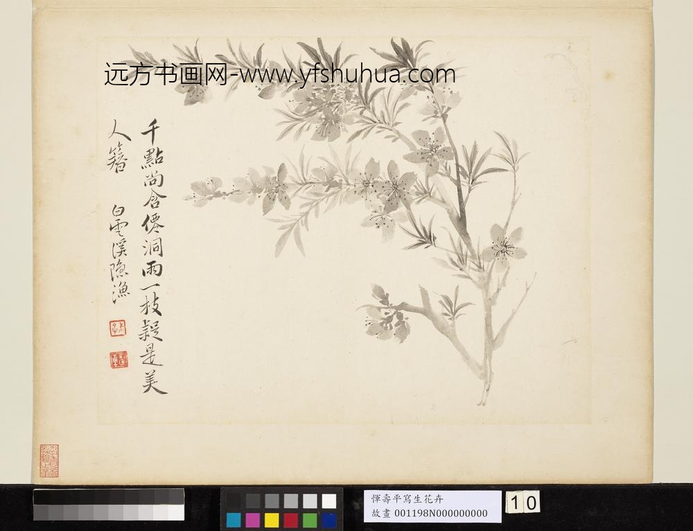 清恽寿平写生花卉册山桃
