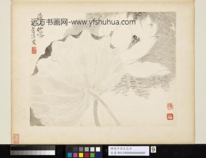 清恽寿平写生花卉册洛浦仙裳.jpg