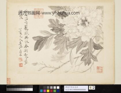 清恽寿平写生花卉册牡丹.jpg