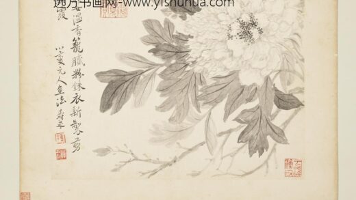 清恽寿平写生花卉册牡丹.jpg