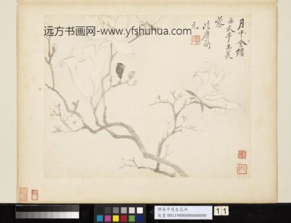 清恽寿平写生花卉册玉芙蓉.jpg
