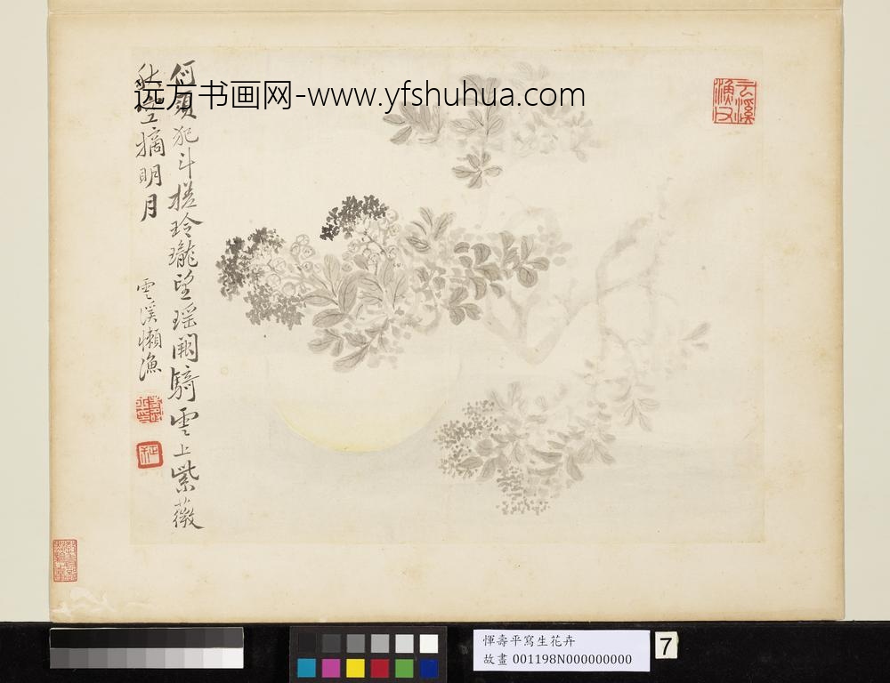 清恽寿平写生花卉册秋空摘月