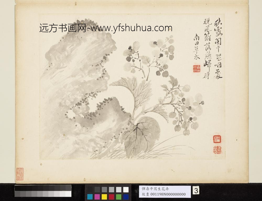 清恽寿平写生花卉册秋露阑干
