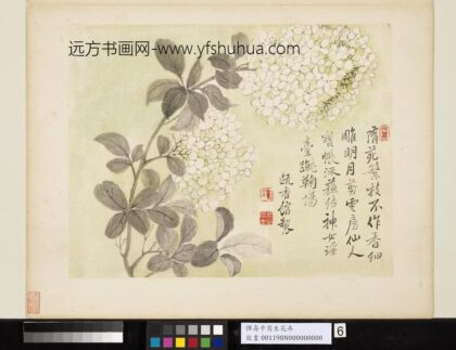 清恽寿平写生花卉册绣球花.jpg