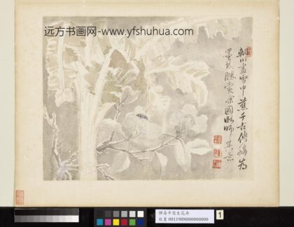清恽寿平写生花卉册雪中蕉.jpg
