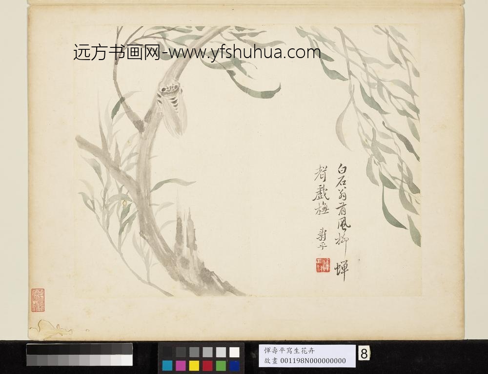清恽寿平写生花卉册风柳蝉声