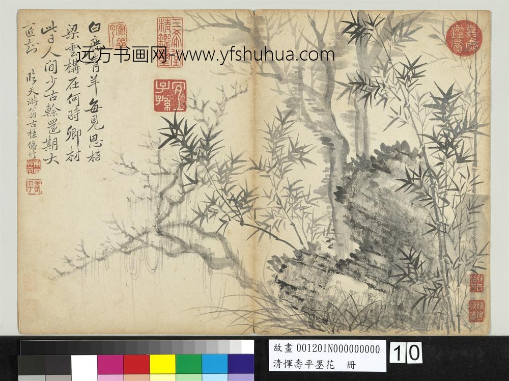 清恽寿平墨花册枯木竹石