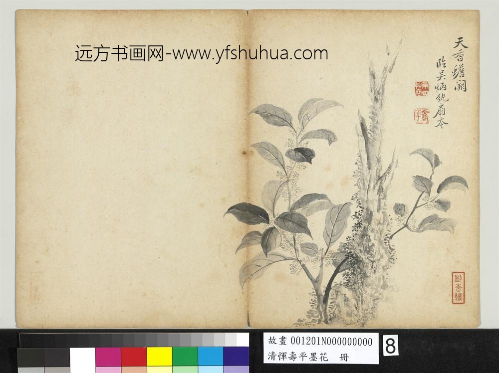 清恽寿平墨花册桂花