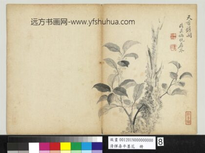 清恽寿平墨花册桂花.jpg