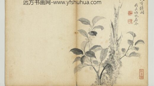 清恽寿平墨花册桂花.jpg