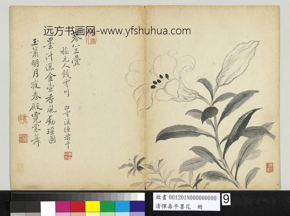 清恽寿平墨花册百合花