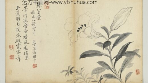 清恽寿平墨花册百合花.jpg