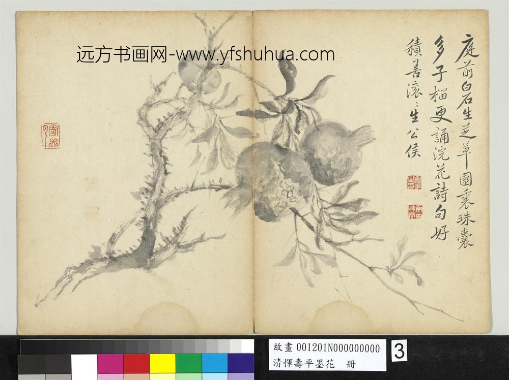 清恽寿平墨花册石榴