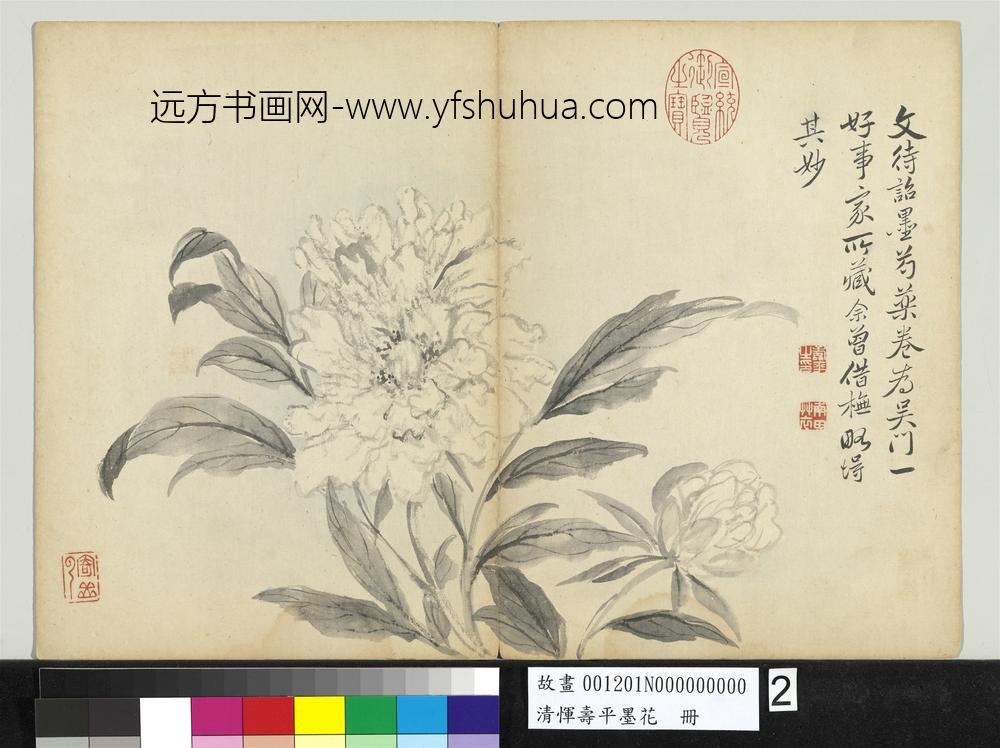 清恽寿平墨花册芍药