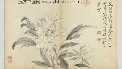 清恽寿平墨花册芍药.jpg