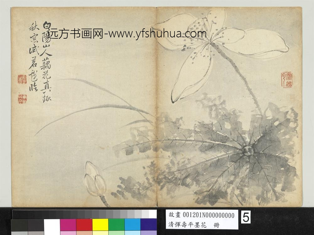 清恽寿平墨花册荷花