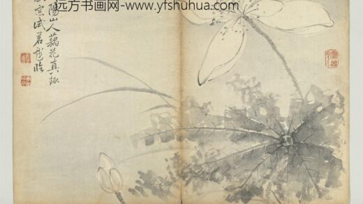 清恽寿平墨花册荷花.jpg