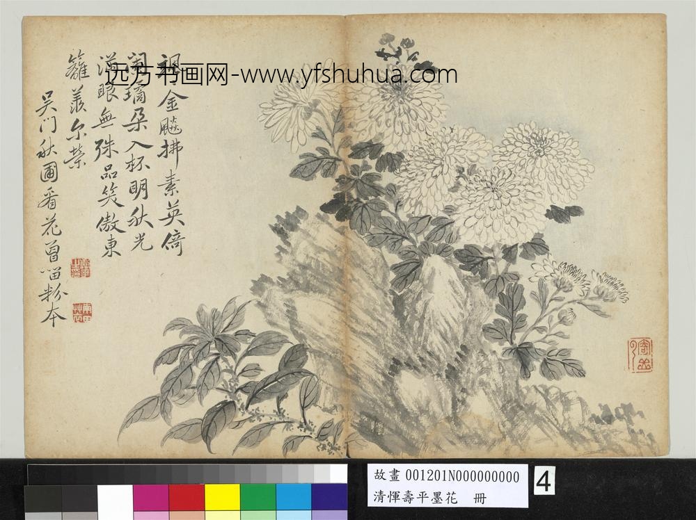 清恽寿平墨花册菊花雁来红