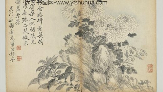 清恽寿平墨花册菊花雁来红.jpg