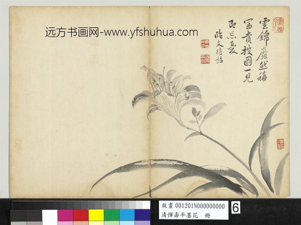 清恽寿平墨花册萱花