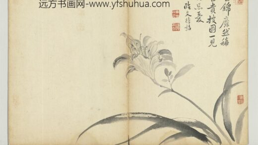 清恽寿平墨花册萱花.jpg