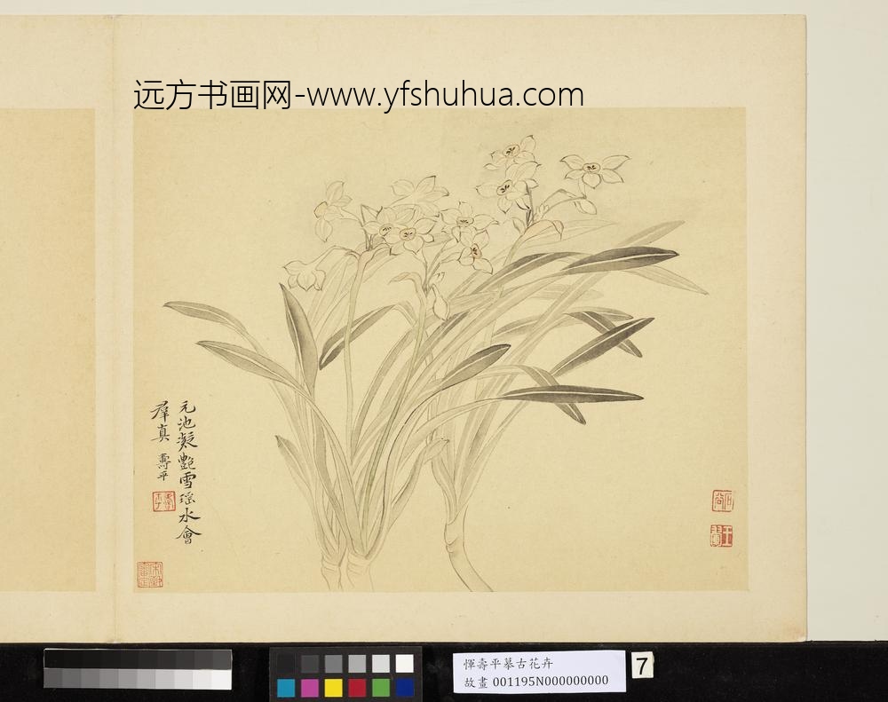 清恽寿平摹古册水仙