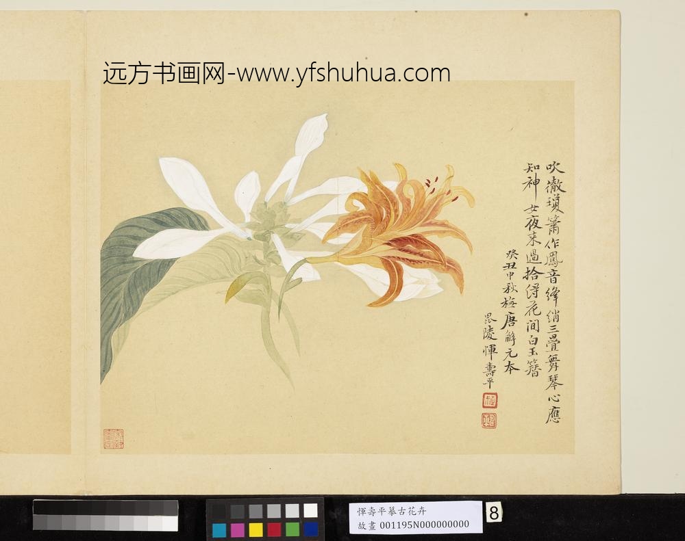 清恽寿平摹古册玉簪萱花