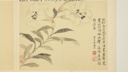 清恽寿平摹古册百合.jpg
