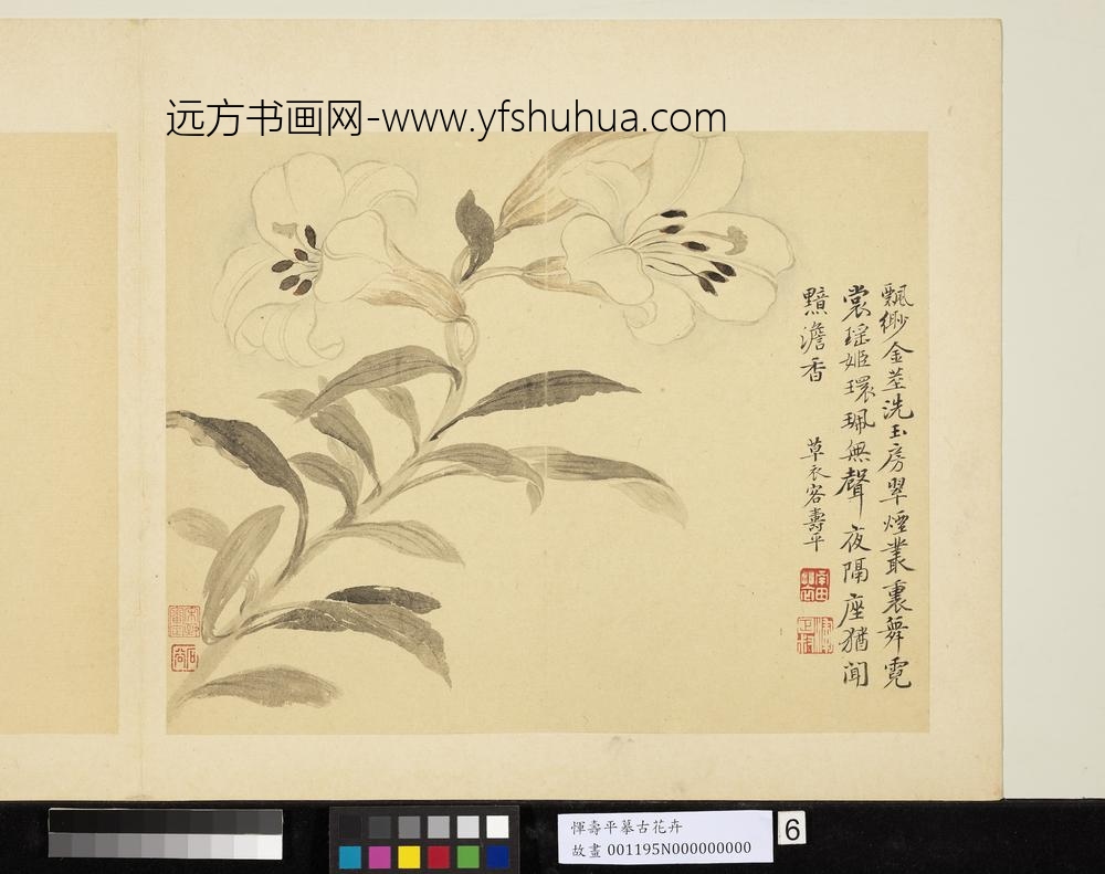 清恽寿平摹古册百合