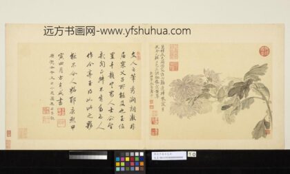 清恽寿平摹古册菊花.jpg