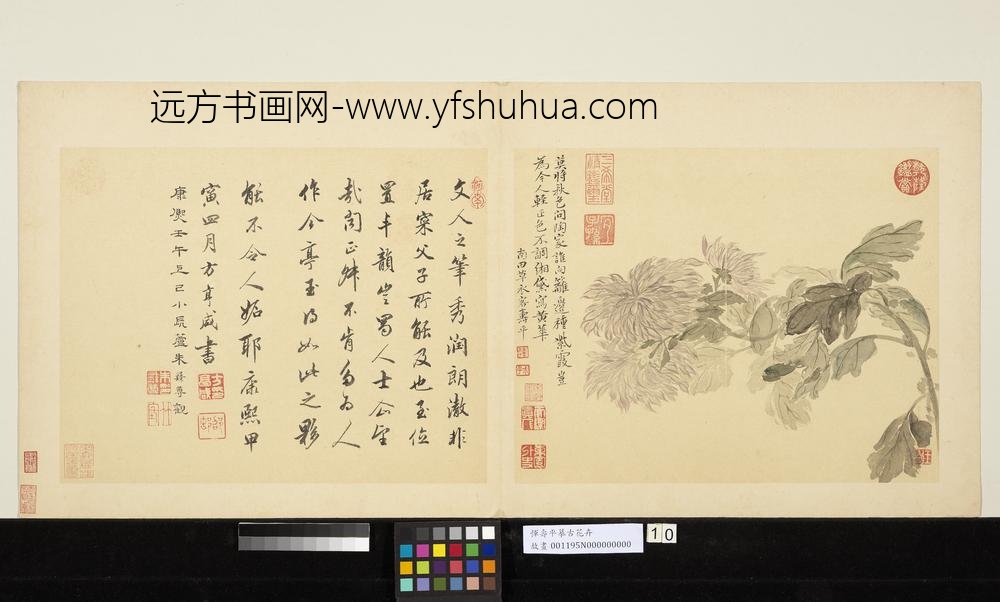 清恽寿平摹古册菊花
