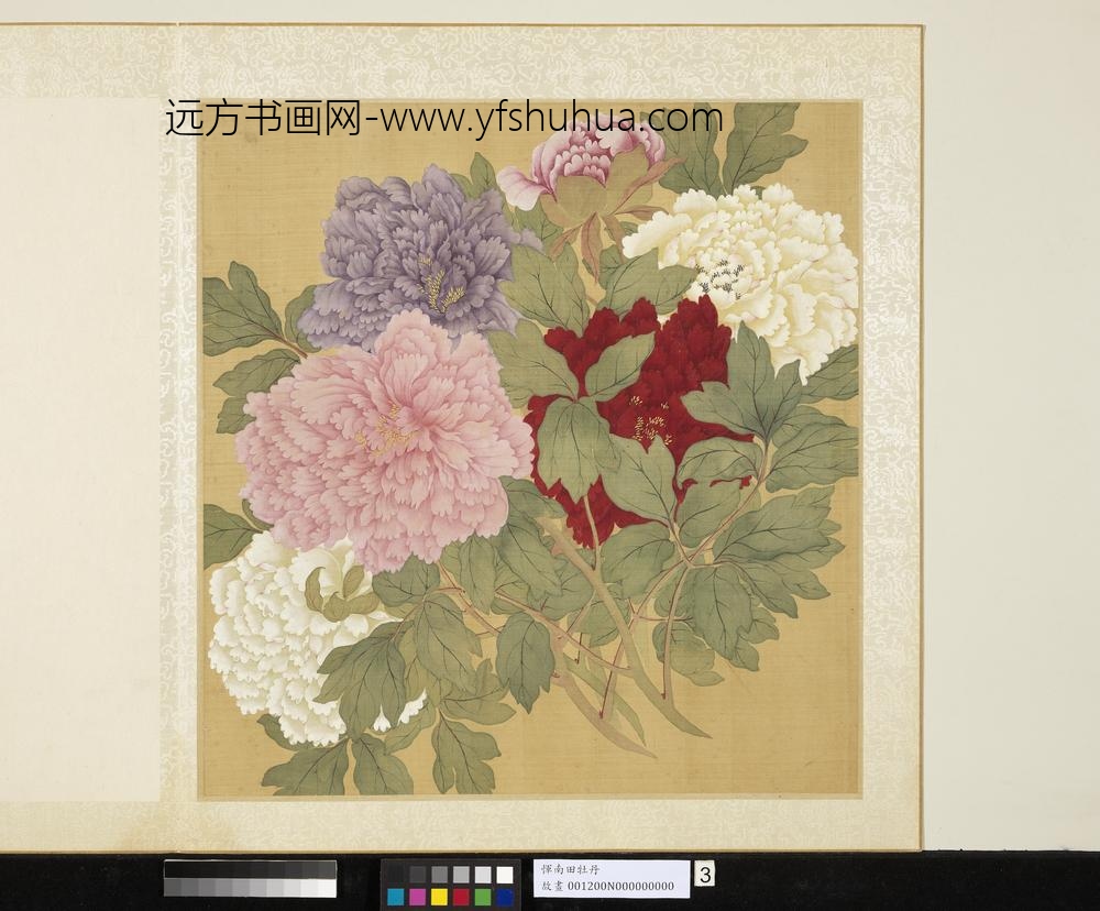清恽寿平牡丹册牡丹（三）