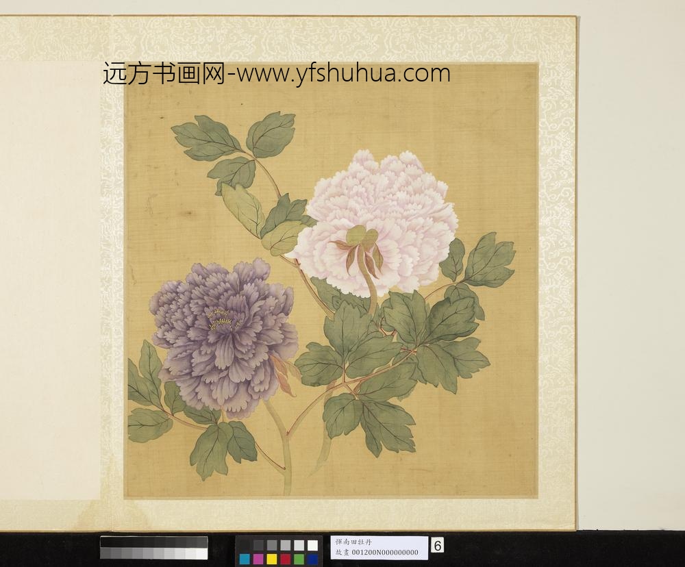 清恽寿平牡丹册牡丹（六）
