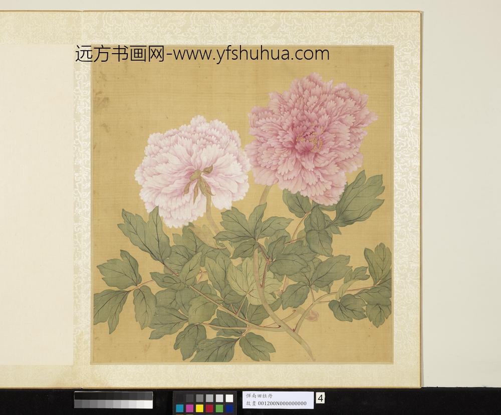 清恽寿平牡丹册牡丹（四）