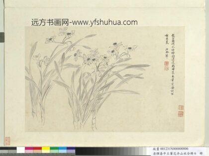 清恽寿平王翚花卉山水合册水仙.jpg