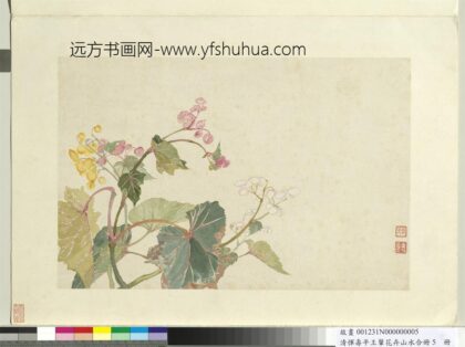 清恽寿平王翚花卉山水合册秋海棠.jpg