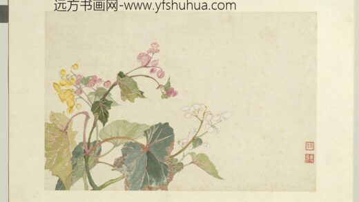 清恽寿平王翚花卉山水合册秋海棠.jpg