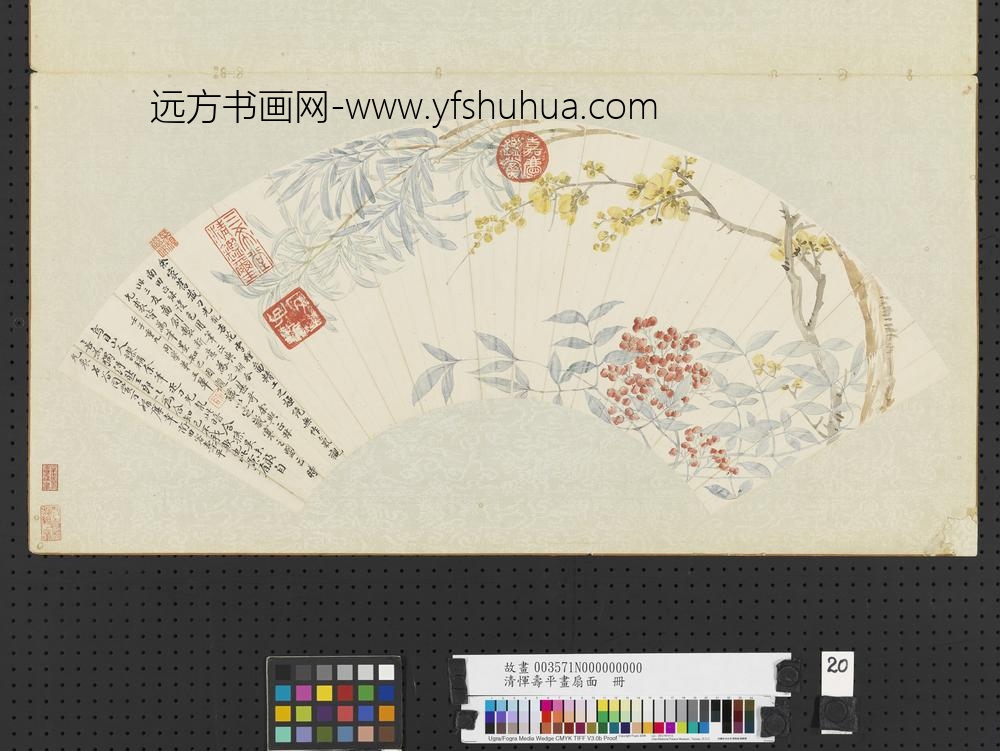 清恽寿平画扇面册天竹蜡梅罗汉松