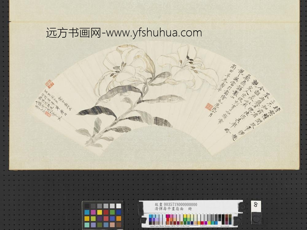 清恽寿平画扇面册百合