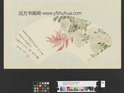 清恽寿平画扇面册菊老少年.jpg