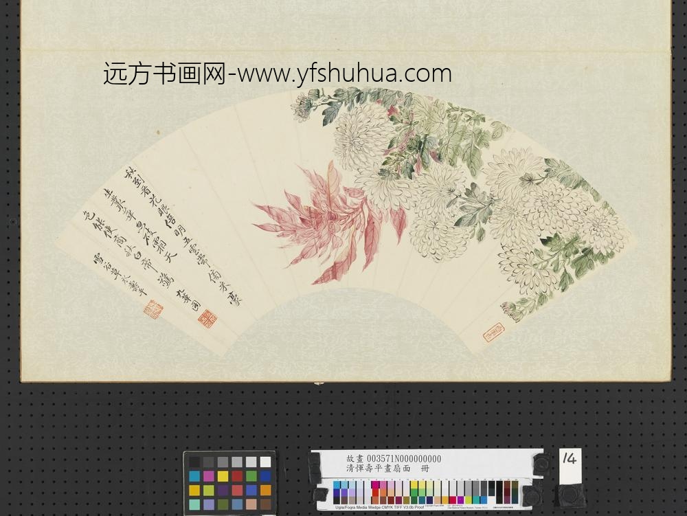 清恽寿平画扇面册菊老少年