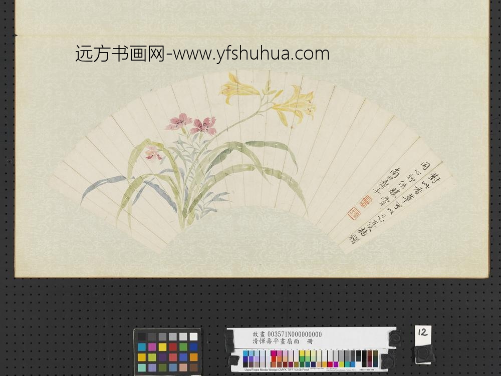 清恽寿平画扇面册萱花秋罗