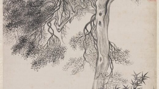 清恽寿平画禹穴古柏轴.jpg